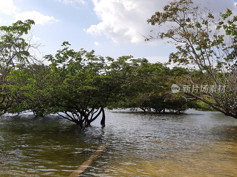 亚马逊地区- TAPAJOS - PARA